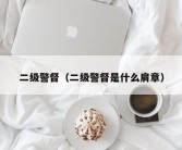 二级警督（二级警督是什么肩章）