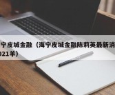 海宁皮城金融（海宁皮城金融陈莉英最新消息2021羊）