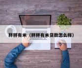 胖胖有米（胖胖有米贷款怎么样）