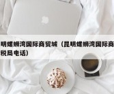昆明螺蛳湾国际商贸城（昆明螺蛳湾国际商贸城税局电话）