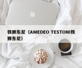 铁狮东尼（AMEDEO TESTONI铁狮东尼）