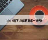 bix（陛下,你能再靠近一点吗）
