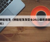 胖脸短发（胖脸短发发型女2022最新款图片）
