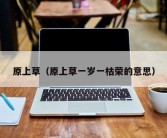 原上草（原上草一岁一枯荣的意思）