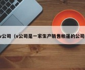v公司（v公司是一家生产销售帐篷的公司）