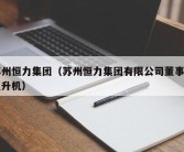 苏州恒力集团（苏州恒力集团有限公司董事长直升机）