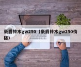 豪爵铃木gw250（豪爵铃木gw250价格）