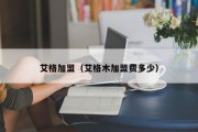 艾格加盟（艾格木加盟费多少）