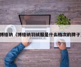 博格纳（博格纳羽绒服是什么档次的牌子）