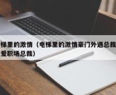 电梯里的激情（电梯里的激情豪门外遇总裁轻轻爱职场总裁）