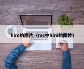 him的图片（mc中him的图片）