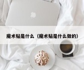魔术贴是什么（魔术贴是什么做的）