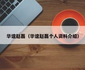 华谊赵磊（华谊赵磊个人资料介绍）