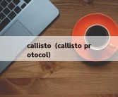 callisto（callisto protocol）