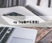 ny（ny是什么意思）