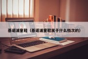 基诺浦童鞋（基诺浦童鞋属于什么档次的）