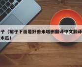 裙子（裙子下面是野兽未增删翻译中文翻译英语木瓜）