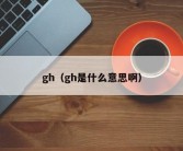 gh（gh是什么意思啊）