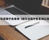 哈尔滨海宁皮革城（哈尔滨海宁皮革城公交车）